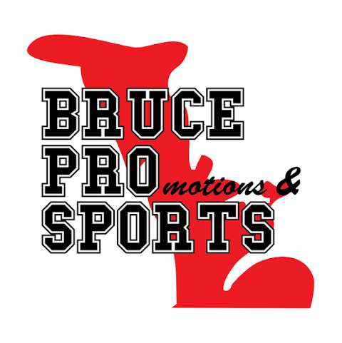 Bruce Pro Sports-Lion's Head